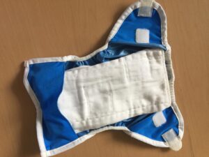 Cloth Diapering Tips 