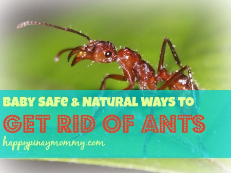 Natural and Baby Safe Ways to kill Ants. 