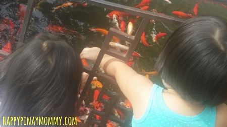 Feeding fish is a good way to teach kids about fishes, you can also count the fish, review the different parts of the fish, how they breathe, eat, sleep, talk about their colors etc.