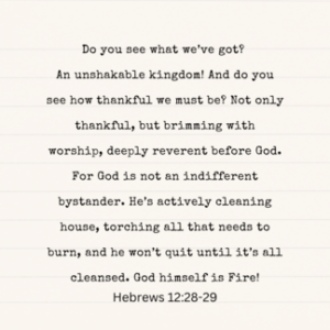 Hebrews 12:28-29