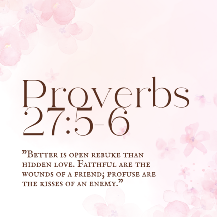 Proverbs 27:5-6