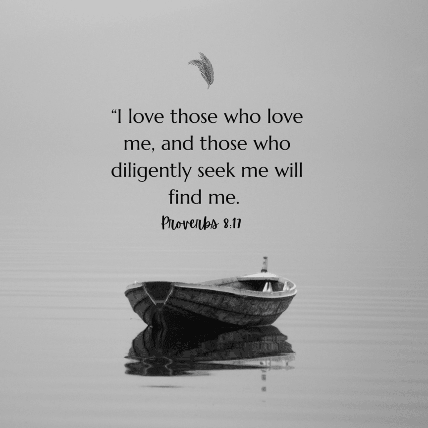 Proverbs 8:17