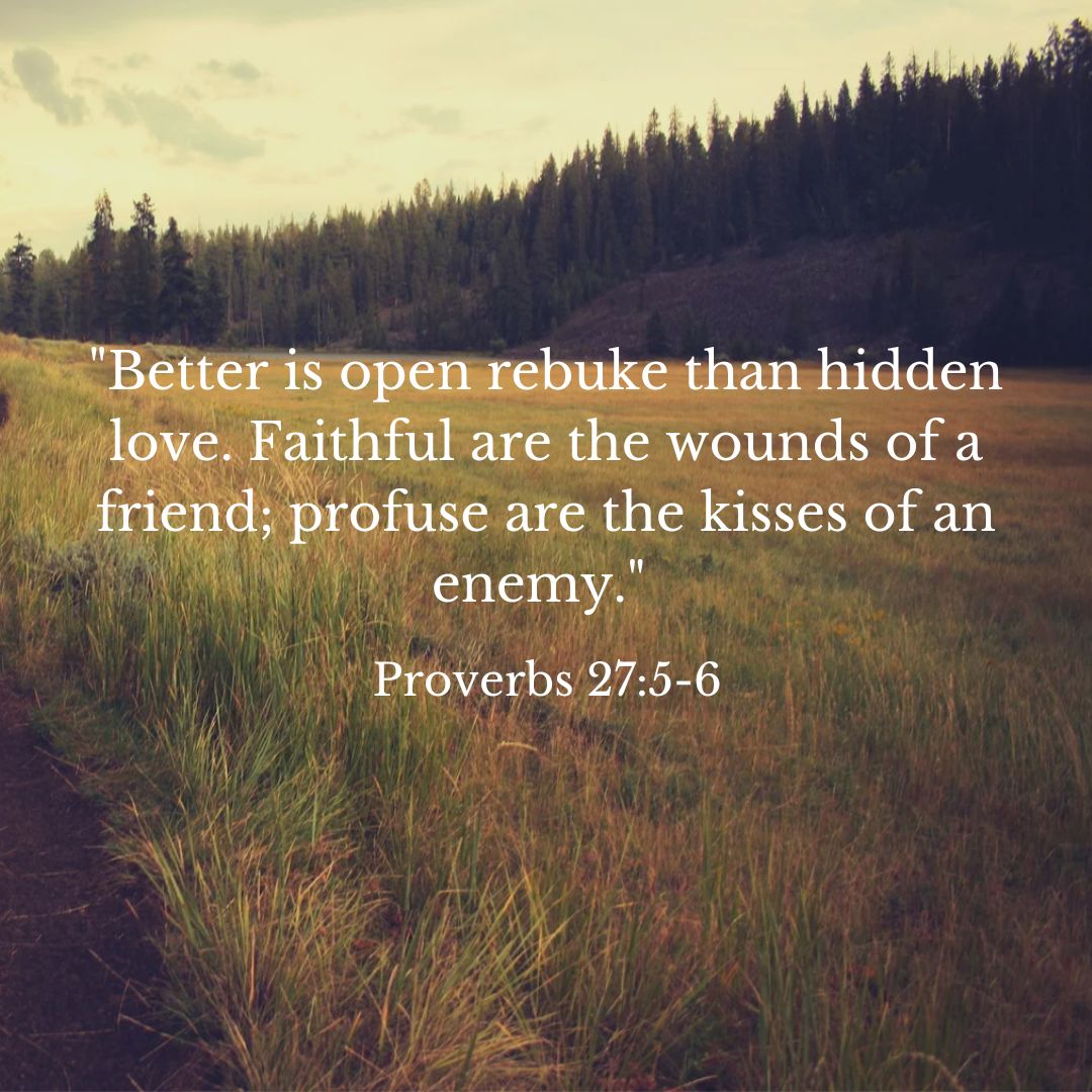 Proverbs 27:5-6