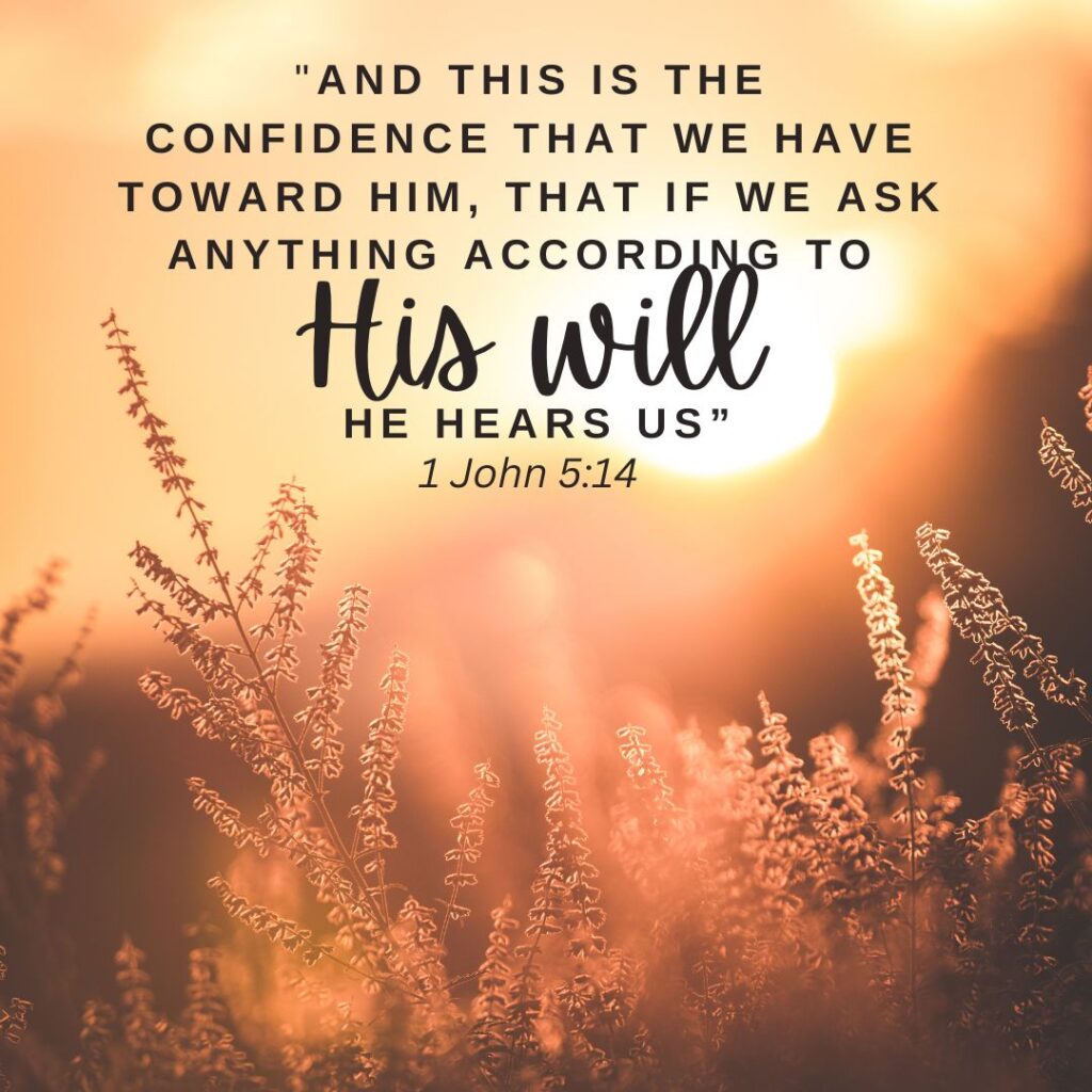 1 John 5:14