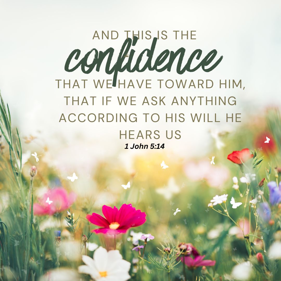 1 John 5:14