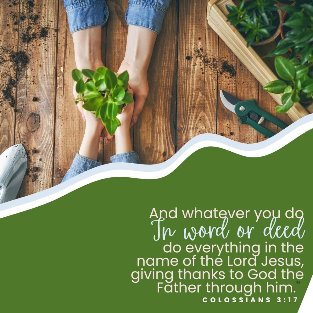 Colossians 3:17