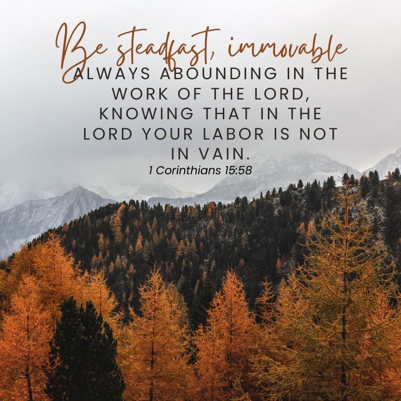 1 Corinthians 15:58