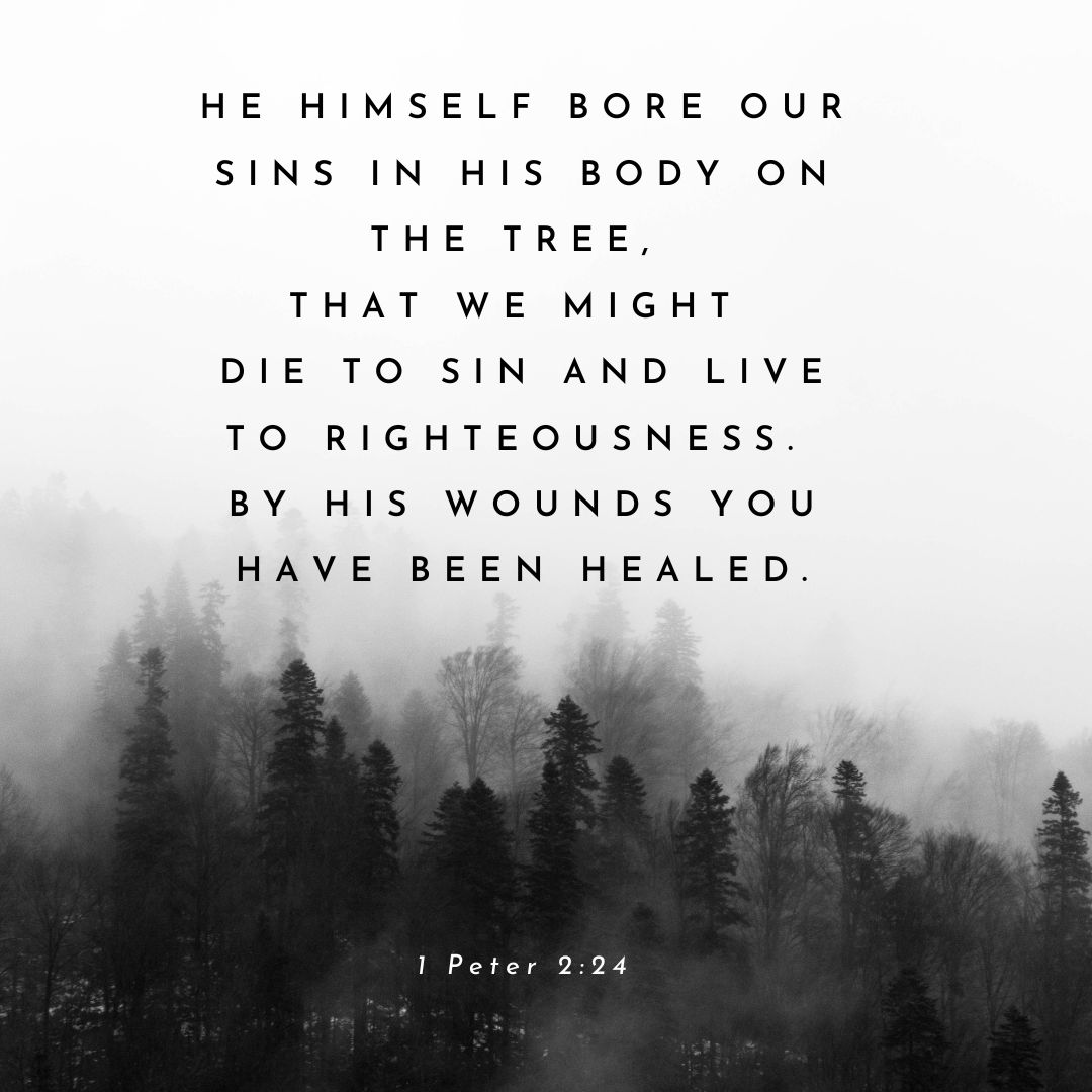 1 Peter 2:24