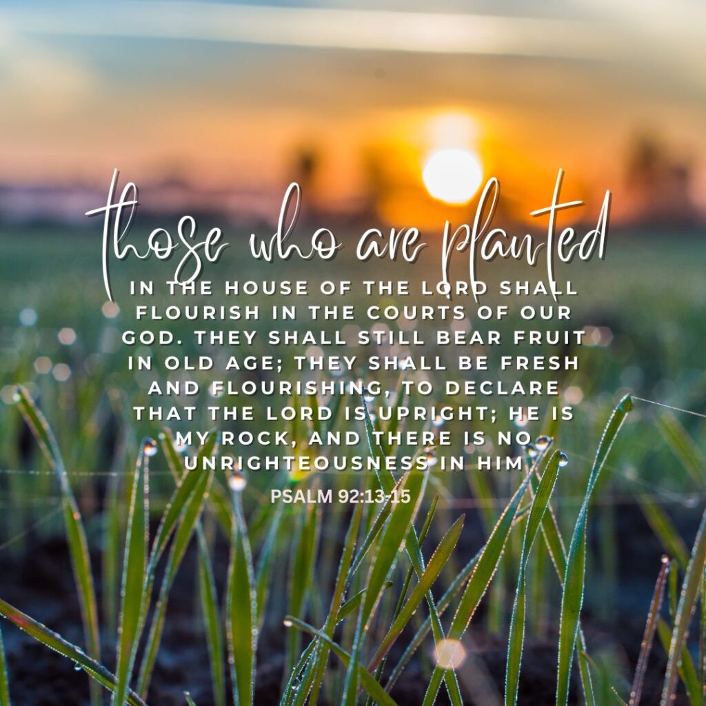 Psalm 92:13-15