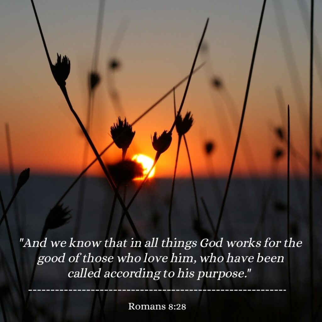 Romans 8:28