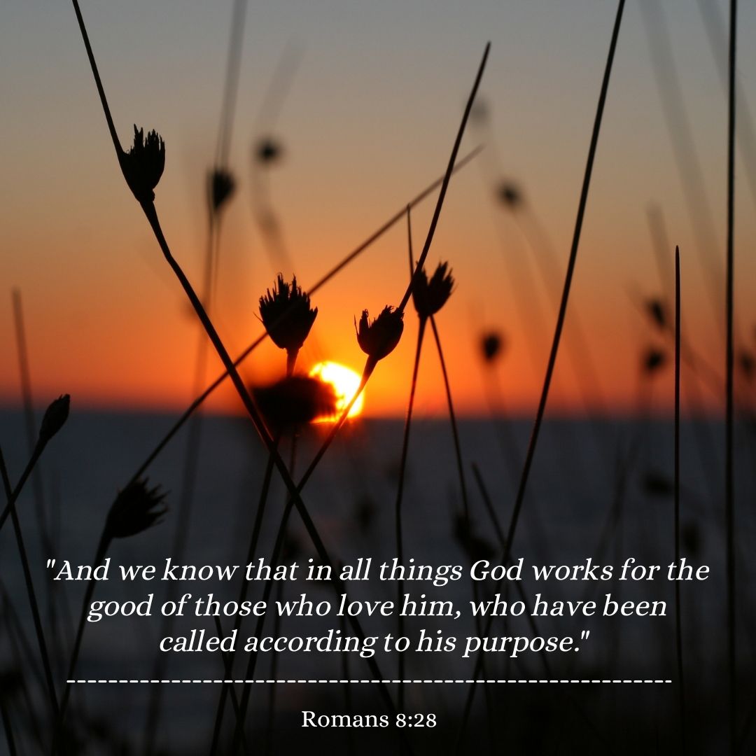 Romans 8:28