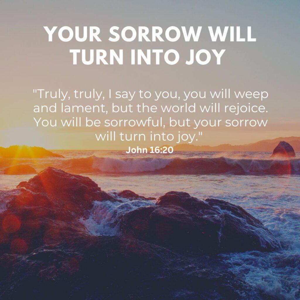 John 16:20