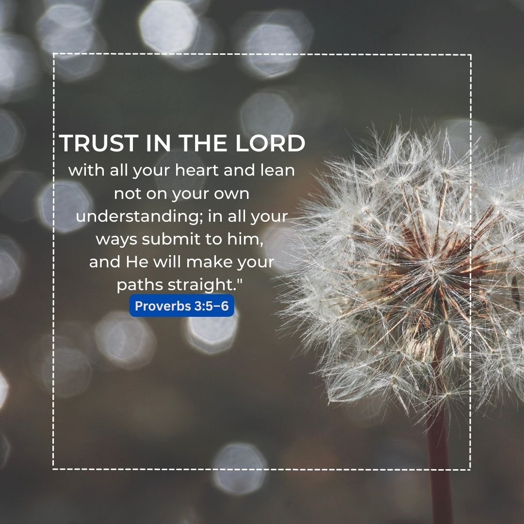 Proverbs 3:5-6
