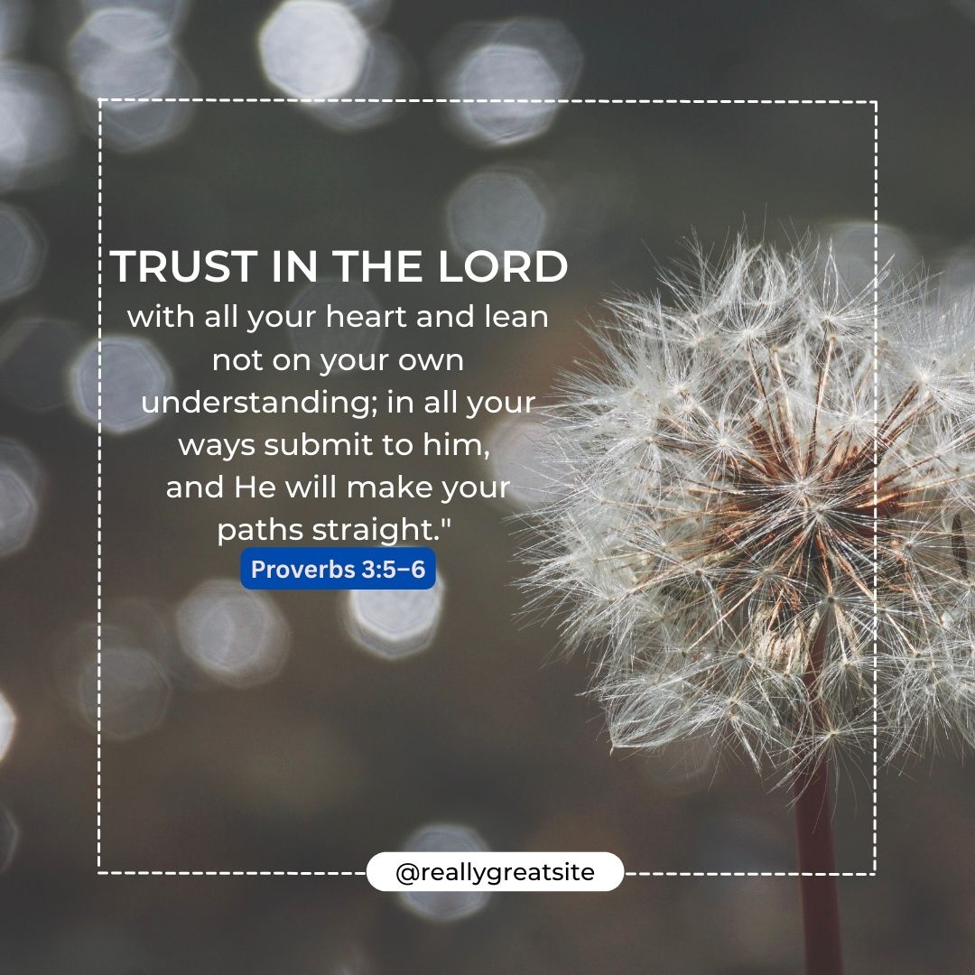 Proverbs 3:5-6