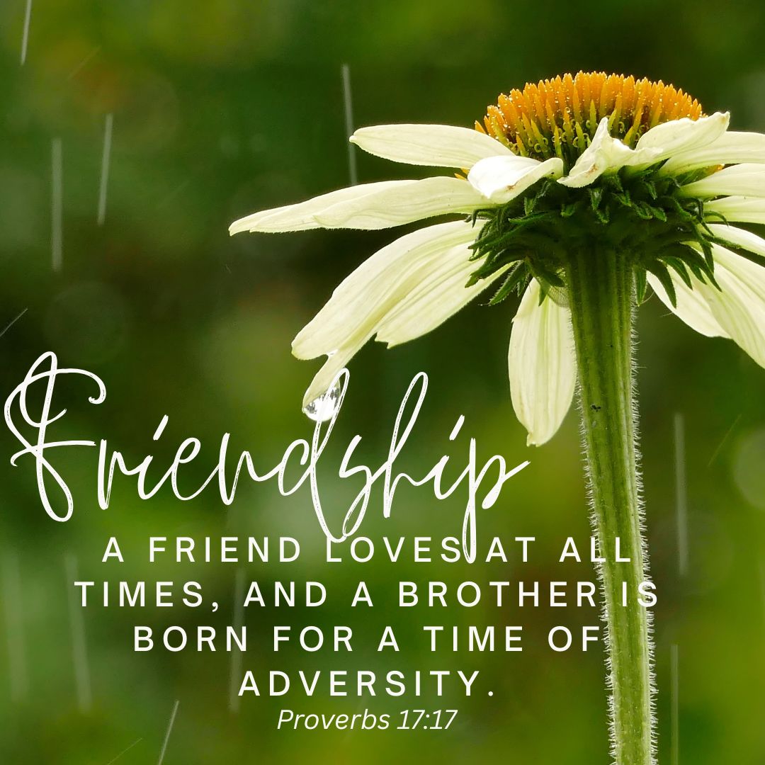 Proverbs 17:17