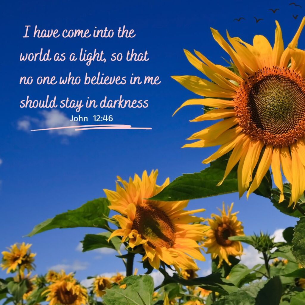 John 12:46