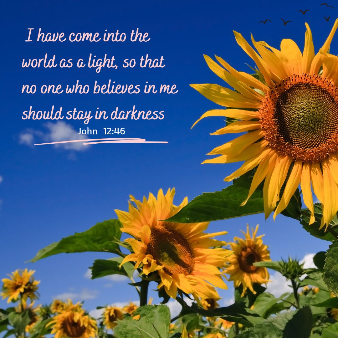 John 12:46