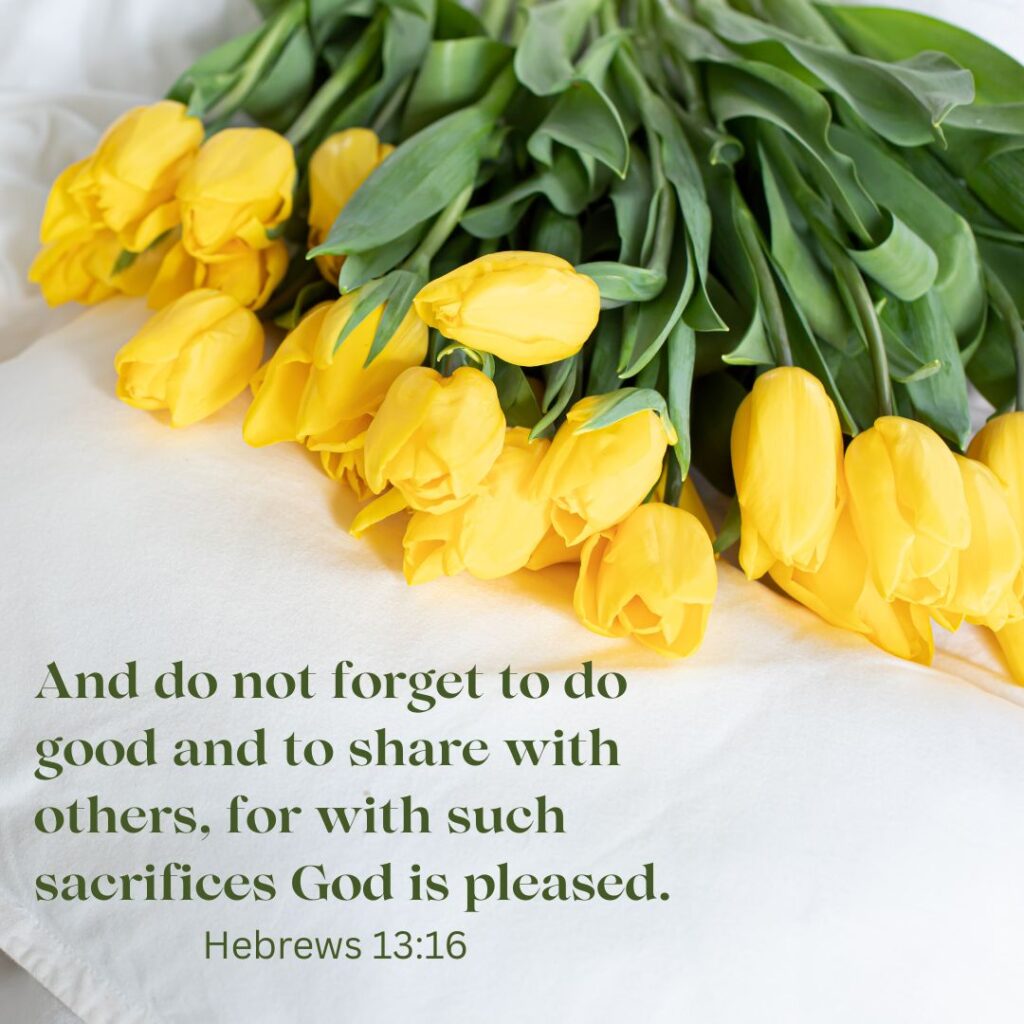 Hebrews 13:6