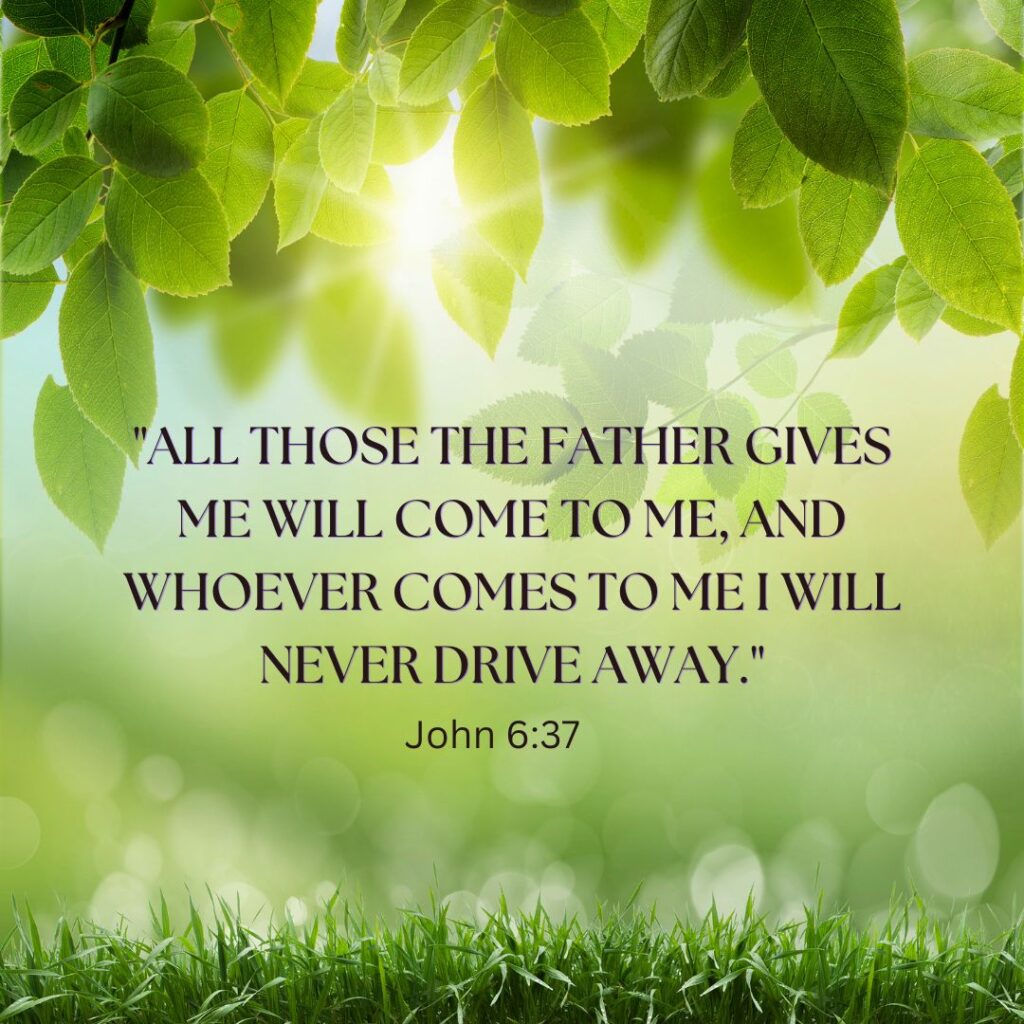 John 6:37