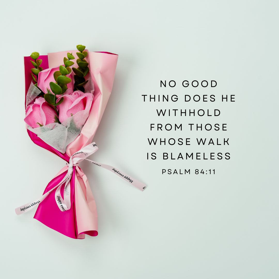 Psalm 84:11