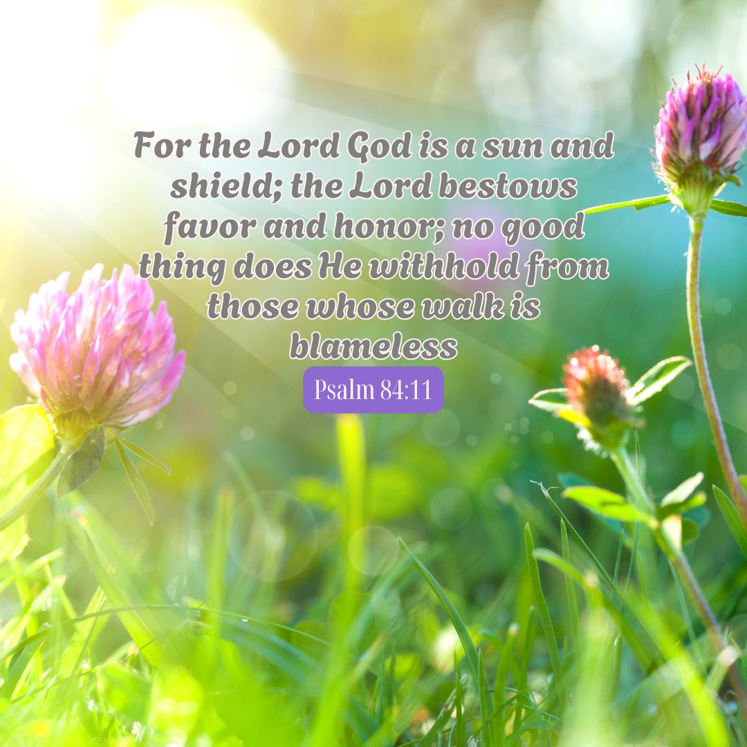 Psalm 84:11
