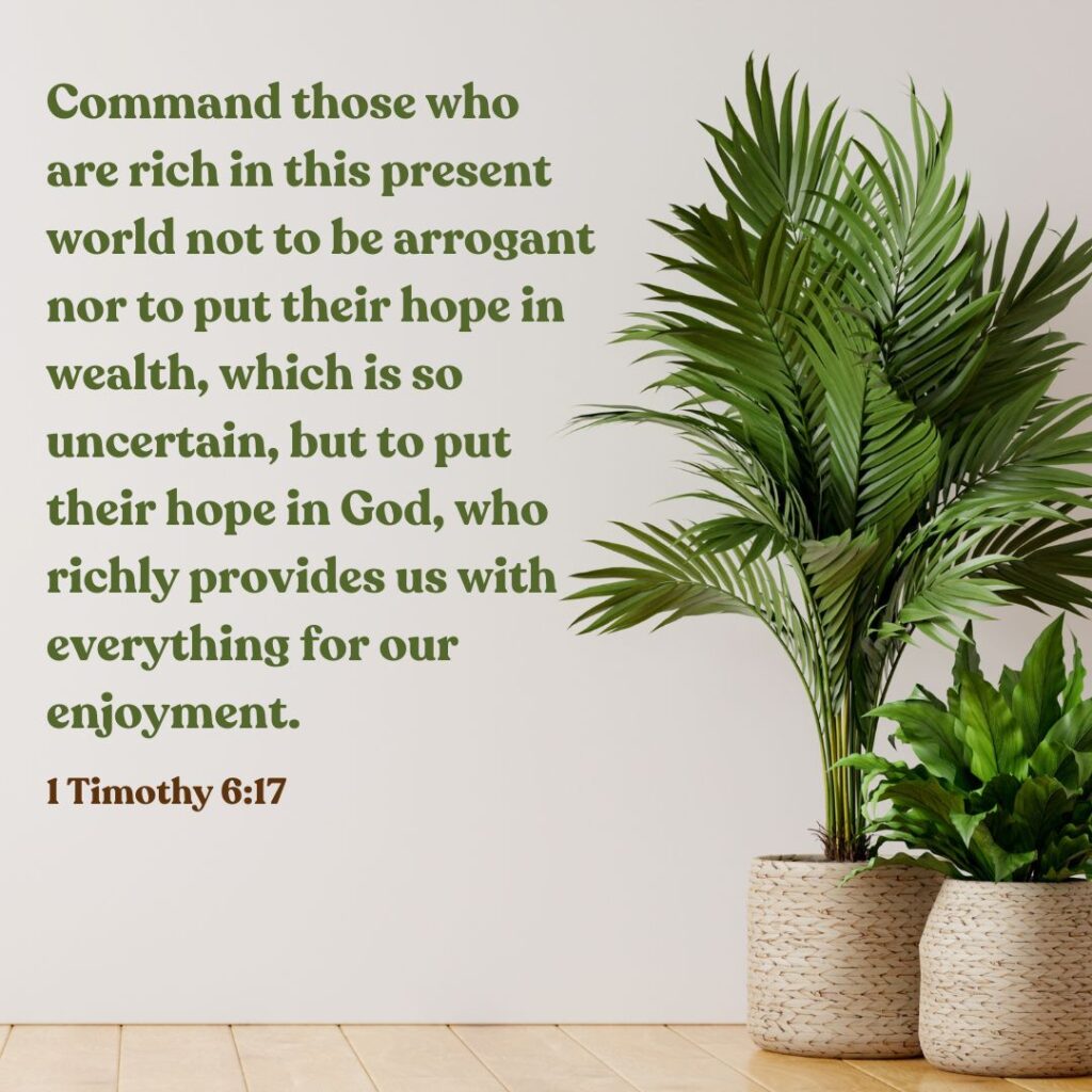 1 Timothy 6:17