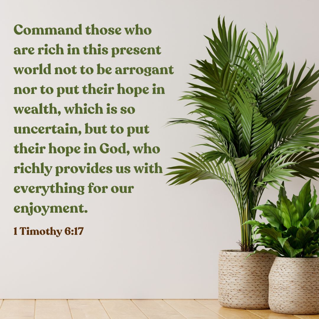 1 Timothy 6:17
