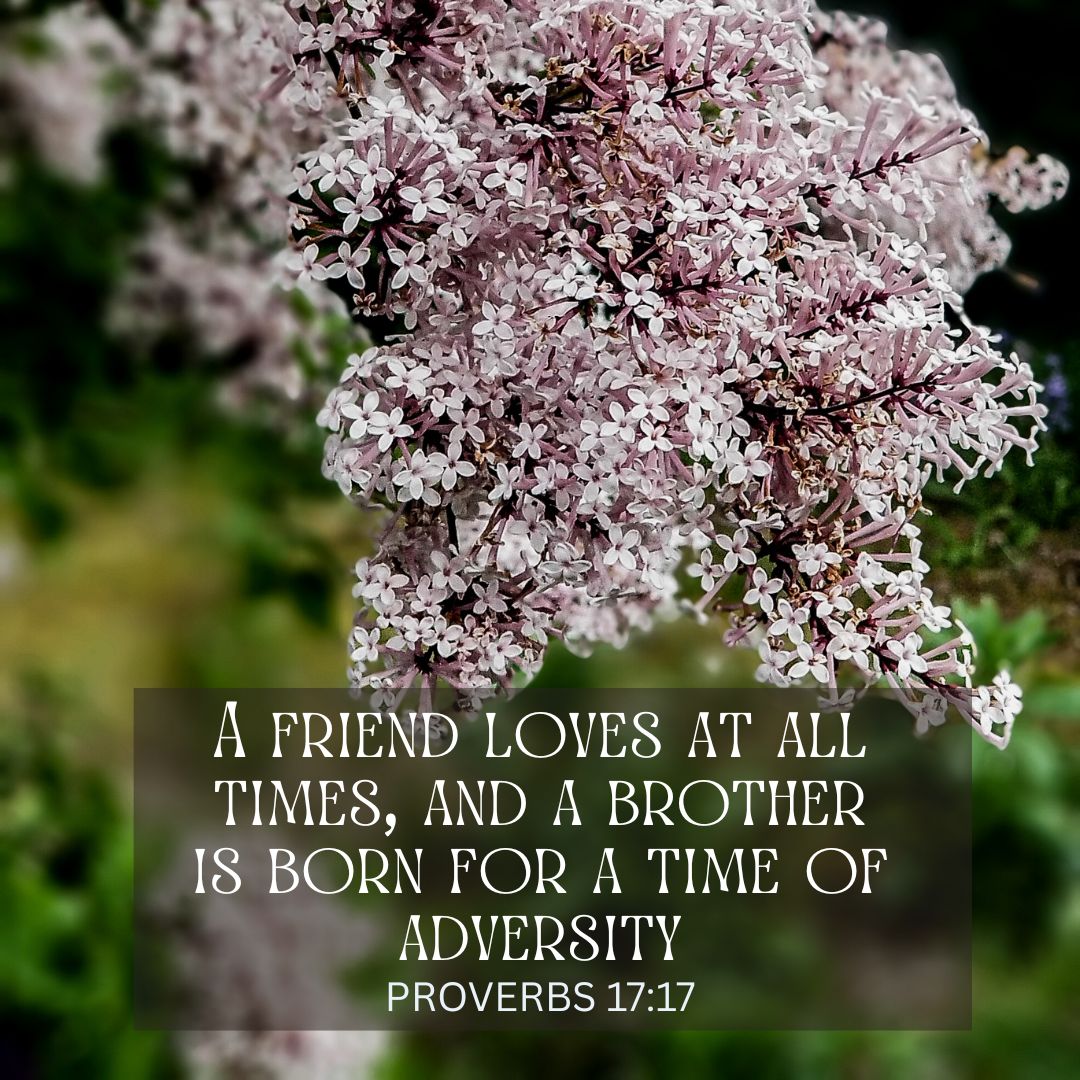 Proverbs 17:17
