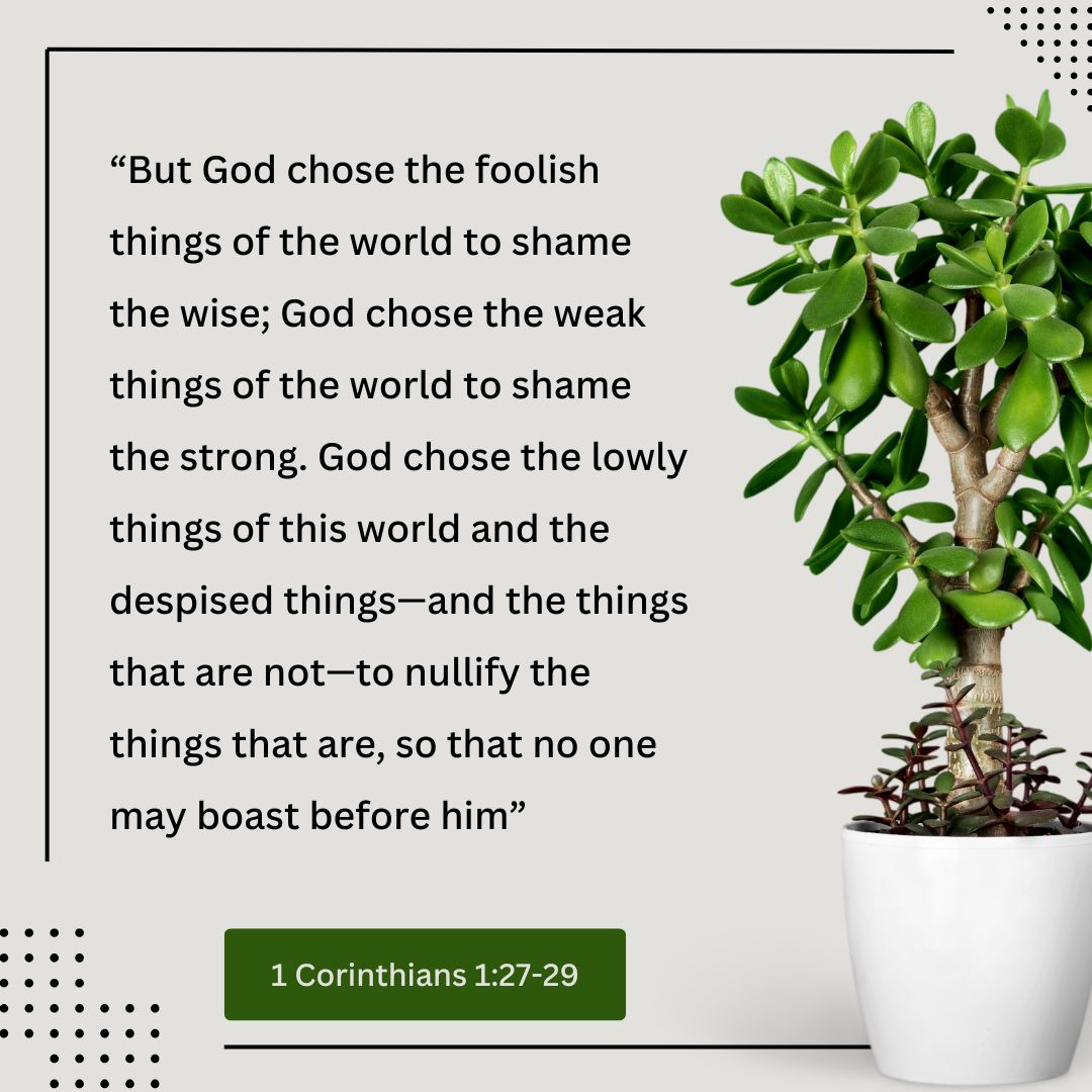 1 Corinthians 1:27-29