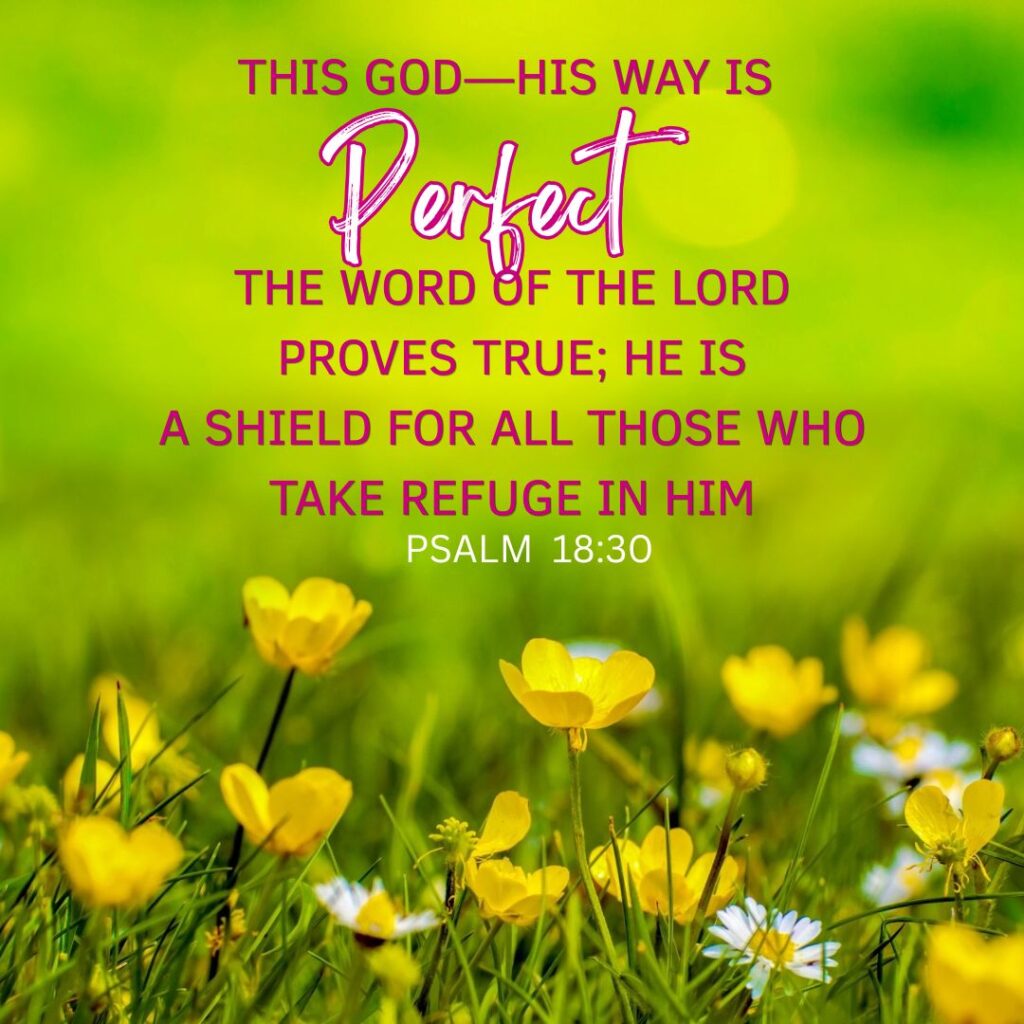 Psalm 18:30
