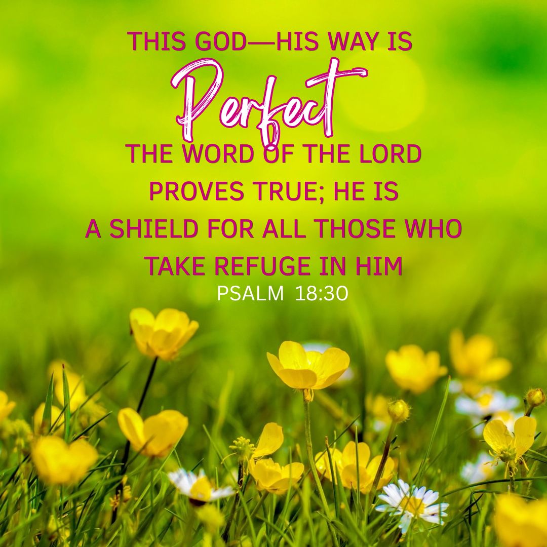 Psalm 18:30