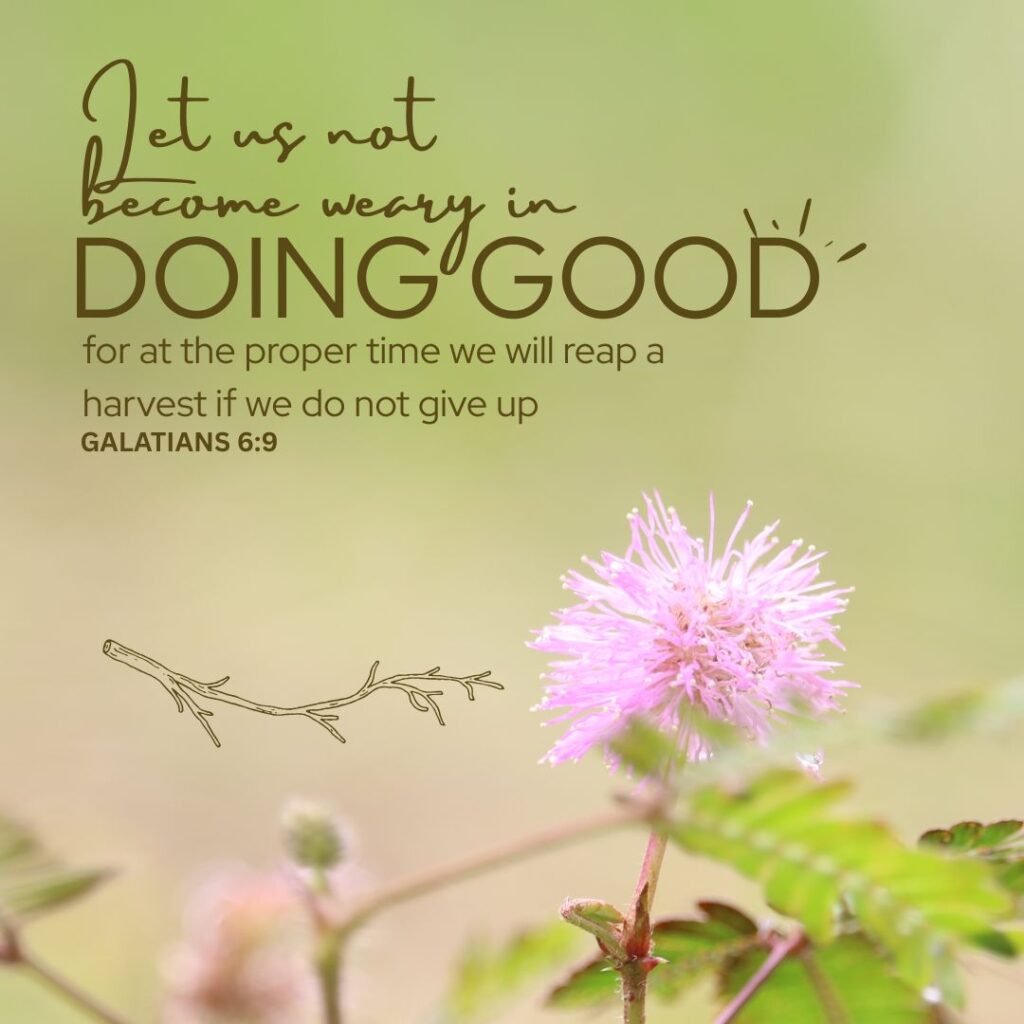 Galatians 6:9