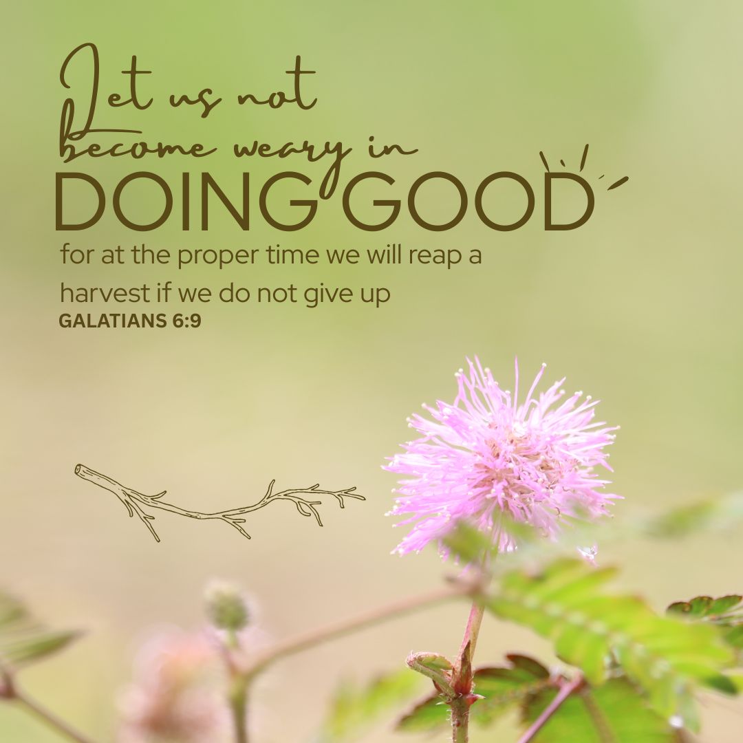 Galatians 6:9