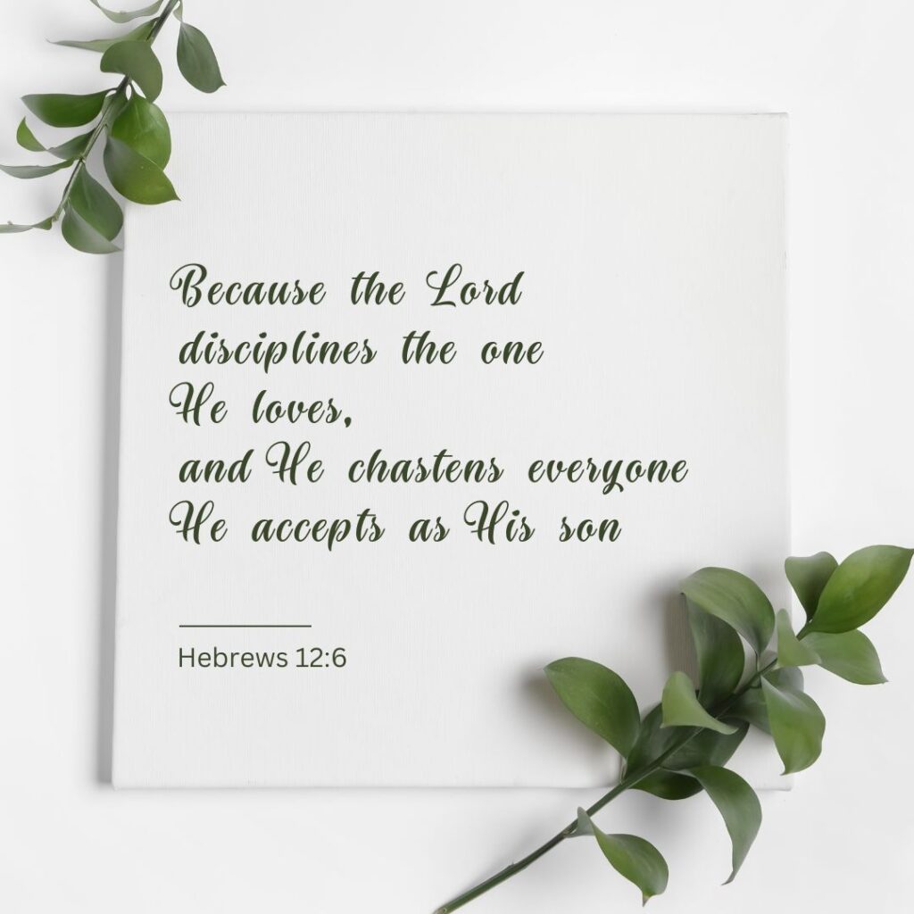 Hebrews 12:6